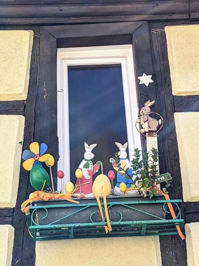 Gite Les Lavandieres Colmar Exterior photo