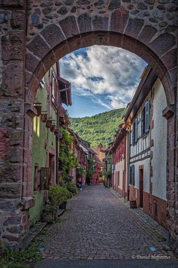 Gite Les Lavandieres Colmar Exterior photo